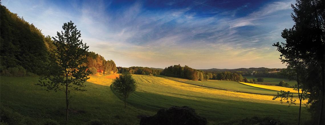 Sample Nature Banner Sample Nature Banner